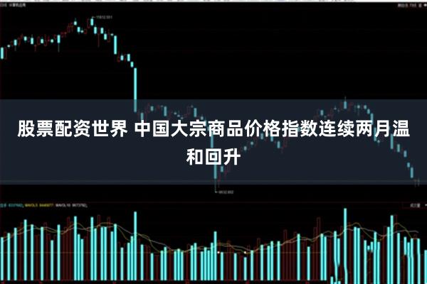 股票配资世界 中国大宗商品价格指数连续两月温和回升